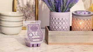 SCENTSY Scent amp Warmer of the Month July2024 [upl. by Oirevas83]