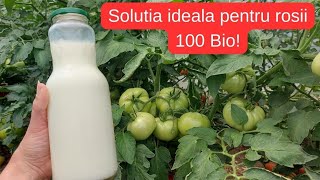 Protejeaza rosiile de mana cu aceasta Solutie 100  Bio [upl. by Elletnohs34]