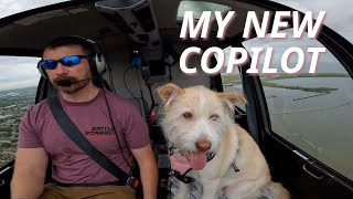 Canine CoPilot Rescue Dog Flies in a Helicopter [upl. by Lulita]