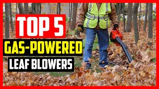 Top 5 Best Handheld Gas Powered Leaf Blowers 2024 [upl. by Obau257]