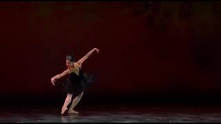 SWAN LAKE  Odile Variation Amanda Gomes [upl. by Fatma]