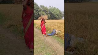 Anita Rajendrashorts shortsvideo shortsfeed youtubeshorts [upl. by Yaeger]