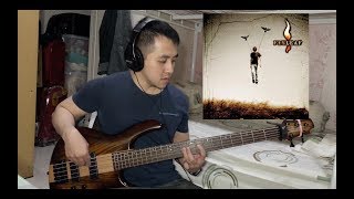 Flyleaf  Im So Sick Bass Cover [upl. by Eenttirb712]