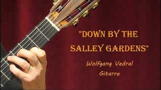 Down by the Salley Gardens  Celtic Fingerstyle Guitar  Free Sheet music amp Tabs [upl. by Malamud]