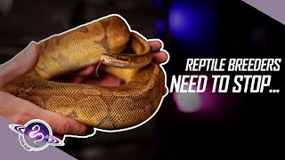 Overcoming WEAKNESS as a Reptile Breeder  ballpython snake reptiles [upl. by Ardnazil]