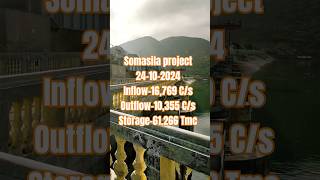 Somasila dam 24102024 shorts somasila trnding video viralvideo youtubeshorts youtubeshort [upl. by Almeta]