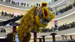 Lion Dance Performance at Senayan City [upl. by Esikram]