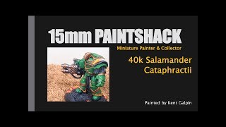 40k Salamander cataphractii terminators painted [upl. by Lleryt685]