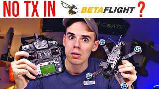 Why Your Transmitter Wont Show in Betaflight  Most Common Fixes [upl. by Appolonia621]