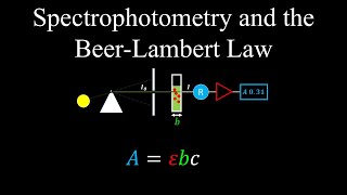 Spectrophotometry Beer Lambert Law  Chemistry [upl. by Kevon]