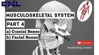 Musculoskeletal System Part 4 Skull Cranial Bones Facial Bones  with mnemonics Easy Explanation [upl. by Eisteb]