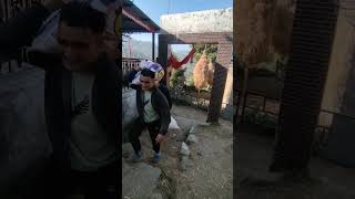 Best Old Garhwali Song By Narendra Singh Negi Jinarendrasinghnegisong​ Nsnegioldsong singga [upl. by Atisor]