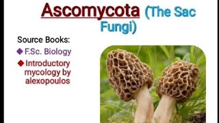 Ascomycota the sac fungi introductory mycology fungi [upl. by Shirah]