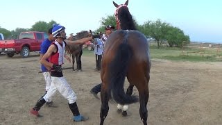 CARRERAS DE CABALLOS POTRILLOS [upl. by Olyhs]