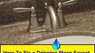 How To Fix a Dripping Moen Faucet HowToLoucom [upl. by Anaujait]