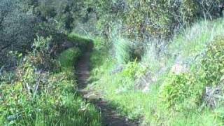 Temescal Canyon Hike Pacific Palisades Los Angeles [upl. by Heaps384]