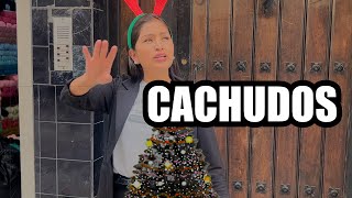 en Diciembre se dan cuenta recién de los cachos [upl. by Euqinomad901]