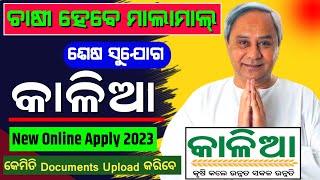 Kalia Yojana New Online Apply 2023 Last Chance Dont Miss [upl. by Partridge]