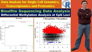 Bisulfite Sequencing Data Analysis Differential Methylation Analysis at CpG Loci [upl. by Reizarf]