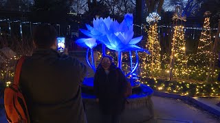 Asi se muestra la Naturaleza Encendida en el Real Jardín Botánico [upl. by Lapotin454]