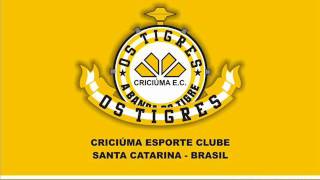 Os Tigres  Sou Carvoeiro [upl. by Dirraj34]