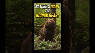 Discover the Majestic and Powerful Kodiak Bear Nature’s Giant [upl. by Nnalorac]