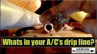 Clogged AC Drip Line [upl. by Darnell897]