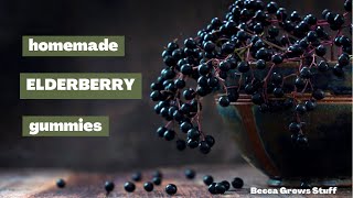 Homemade Elderberry Gummies  RECIPE [upl. by Fang159]