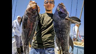 Sea Bass Jigging  Party Boat Fishing NJ [upl. by Rawdon]