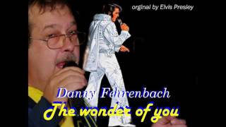 The wonder of you  Danny Fehrenbach [upl. by Frasch901]