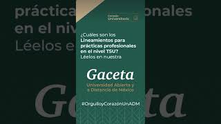 Conoce todo respecto a los lineamientos para prácticas profesionales en el nivel TSU [upl. by Shipman]