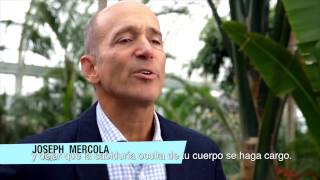 Libro Sana sin esfuerzo  Dr Joseph Mercola [upl. by Minne207]