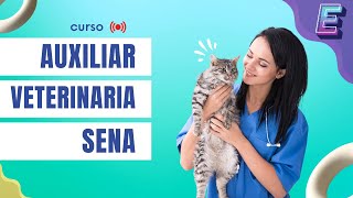 🐶 CURSO AUXILIAR VETERINARIA  Sena 2023 [upl. by Meriel694]