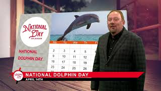 National Dolphin Day on April 14 [upl. by Idna284]