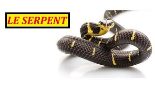 RÊVER DE SERPENT [upl. by Guerra]