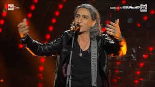 Michele Minneci  Ligabue canta quotQuesta è la mia vitaquot  Tali e Quali 27012024 [upl. by Yllah277]