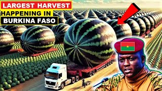 CONGRATULATIONS TO IBRAHIM TRAORE ON BURKINA FASO’S LARGEST HARVEST IN ITS HISTORY [upl. by Retep159]