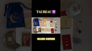 MESSAGE IMPORTANT POUR LES TAUREAU septembre guidance [upl. by Hsekar652]