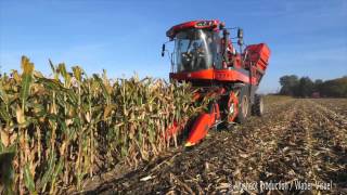 Récolte de Maïs semence avec un Corn Picker Bourgoin B410 [upl. by Nnair]