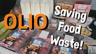 Olio Collection ☆ Saving Food Waste ☆ Free Food ☆ OLIO App [upl. by Natka]