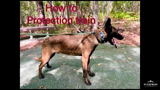 PROTECTION DOG TRAINING SERIES [upl. by Bradstreet670]