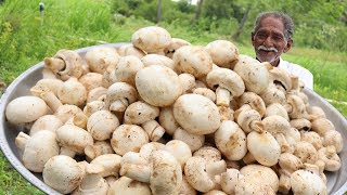 Mushroom Biryani Recipe  Delicious Mushroom Recipe by Grandpa [upl. by Anirbac]