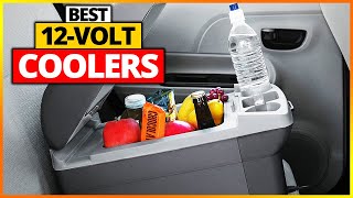 Best 12Volt Coolers Reviews 2023 Top 6 Picks And Buying Guide [upl. by Daniell134]