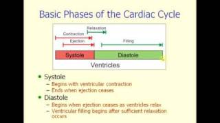 cardiac cycle [upl. by Vaios987]