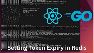 How to Set Authentication Token Expiration in Redis [upl. by Mccreery]
