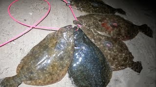 Texas Flounder Gigging in October [upl. by Akirdnas]