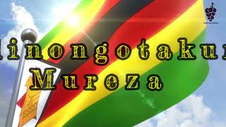 Princo Spice  Zimbabwe Lyrical Visualizer 2024 [upl. by Kiel]