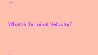 What is Terminal Velocity [upl. by Whorton633]