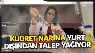 Propolis ile Fermante Edilen Kudret Narına Yurt Dışından Talep Yağıyor [upl. by Epuladaugairam]