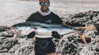 Landbased Yellowtail Kingfish [upl. by Mellette]